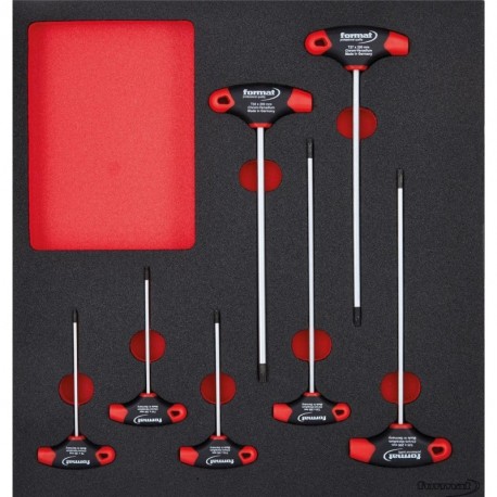 Werkzeugmodul 2/3 T-Griff Torx FORMAT