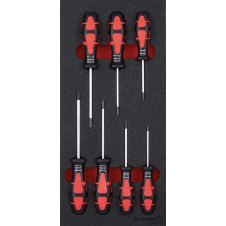 Modul instrument 1/3 surubelnita Torx FORMAT