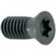 Surub-TORX® pentru placute amovibile RD..07 US 25