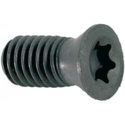 Surub de strangere TORX® M2,5x5 T08